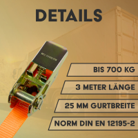 4er Set Zurrgurt mit S-Haken 350/700kg 3 Meter
